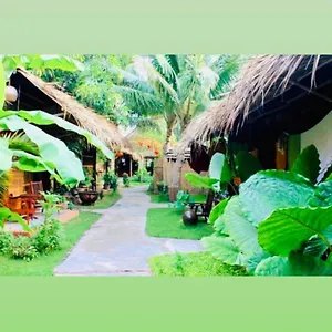 https://under-the-coconut-tree-hoi-an-homestay-1.hotelsofhoian.com